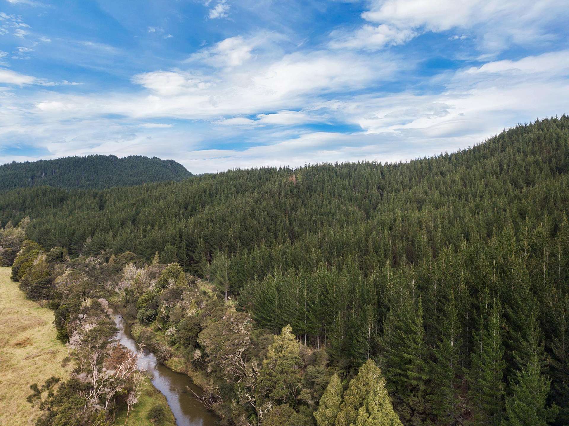 SH 1 Wayby Wellsford_0