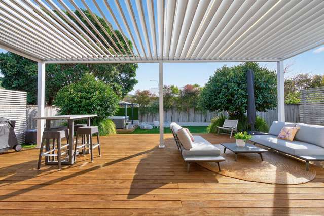 38 Mills Street Boulcott_3