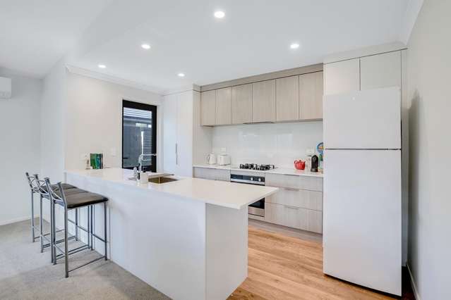 2 Harp Street Morrinsville_1