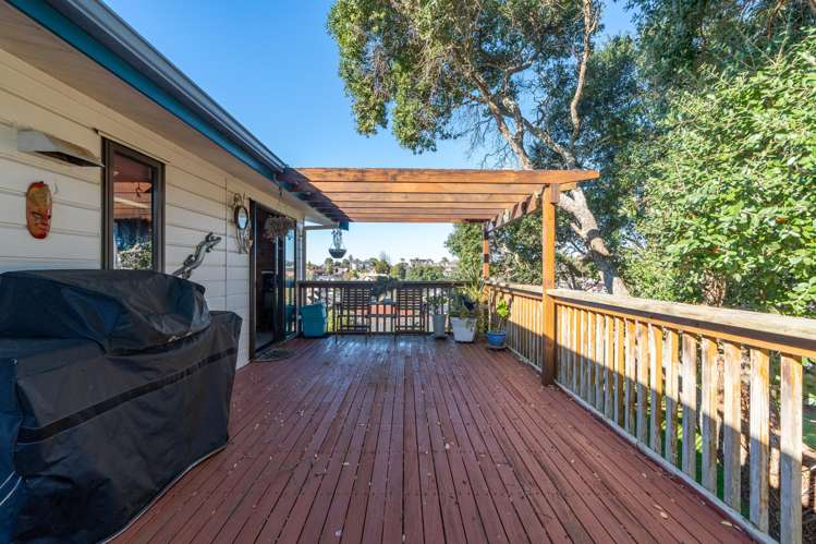 149A Ellicott Road Nawton_14