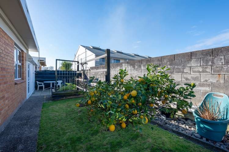 6C Seddon Street Glenholme_14