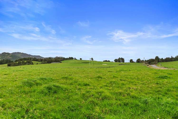 Pukehuia Road Tangiteroria_11