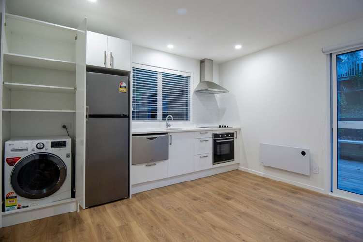 19 Commercial Road Grey Lynn_2