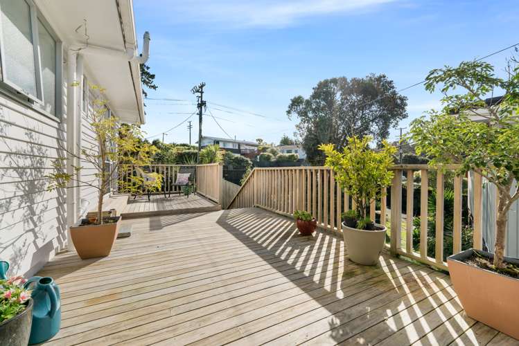 44 Shetland Street Glen Eden_15