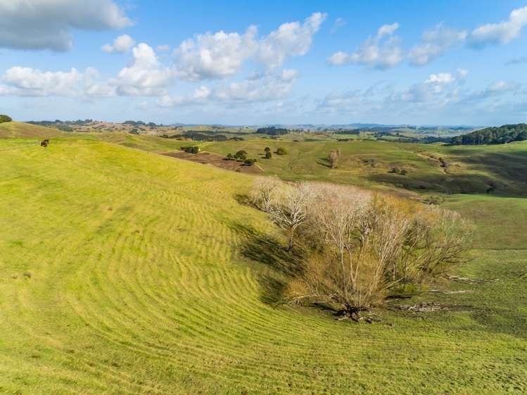 217 Underwood Road Wellsford_22