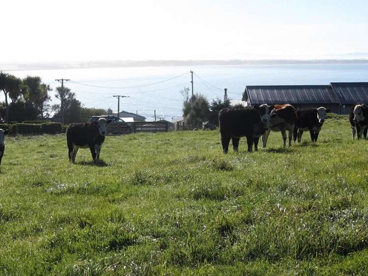 27 Hamlet Street Riverton_9