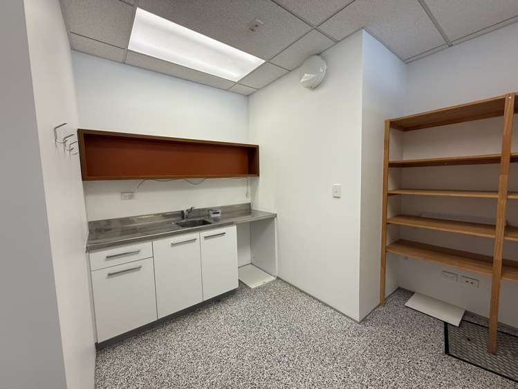 17 Maidstone Street Grey Lynn_8