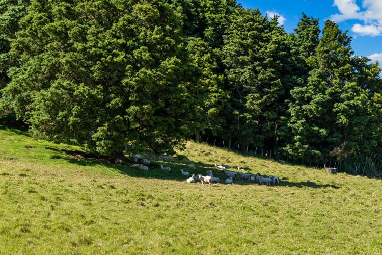 75 Snooks Road Maungatapere_16