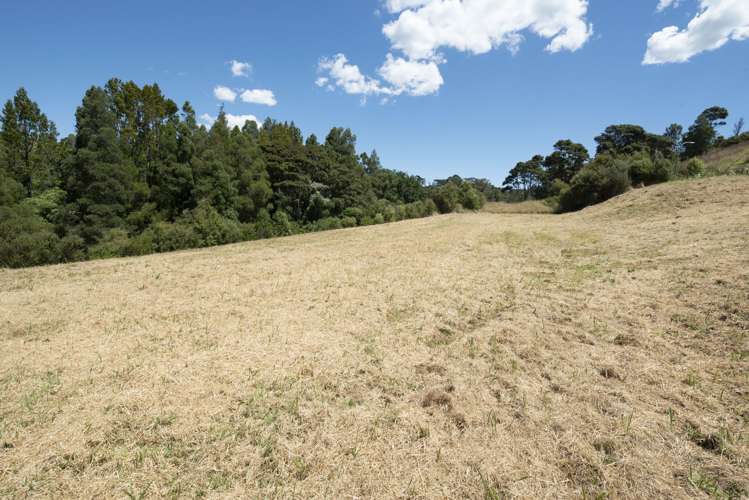 88 Vaughans Road Long Bay_13