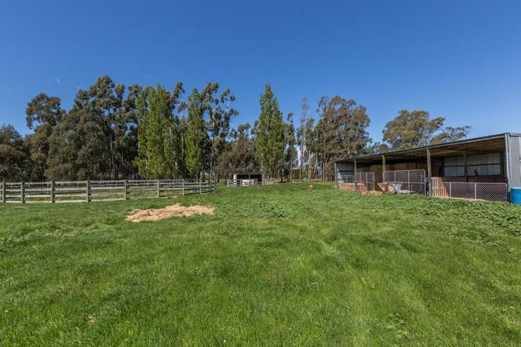 177 Selwyn Lake Road Leeston_8