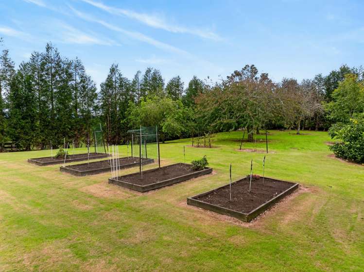 536 Maniatutu Road Pongakawa_18