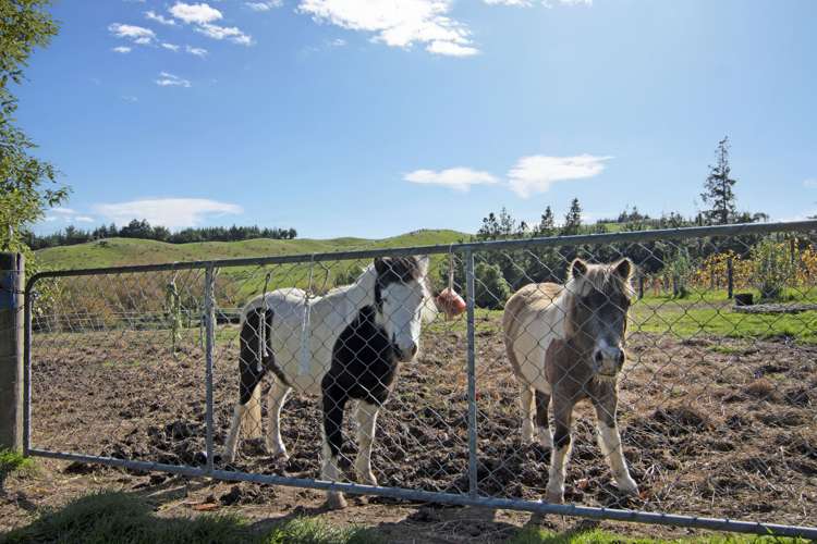 23 Hewetson Road Upper Moutere_25