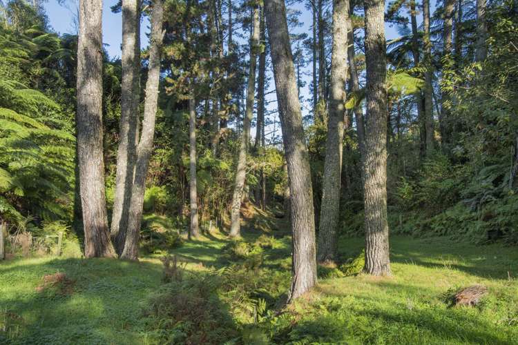 1128a Omanawa Road Kaimai_14