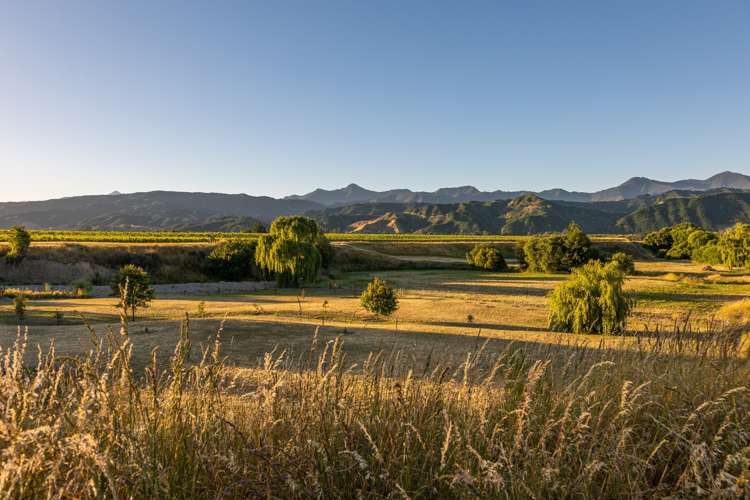 1048 State Highway 63 Wairau Valley_21