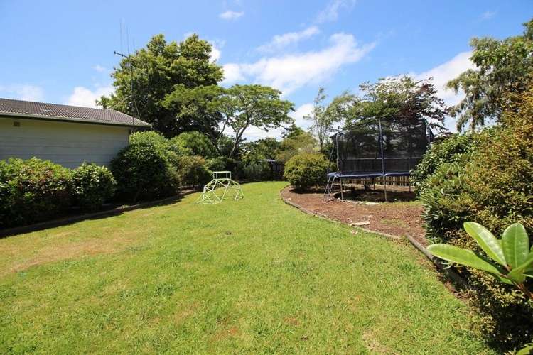 15 Wilson Street Bulls_35