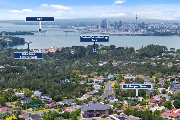 8 Harper Street Chatswood_19