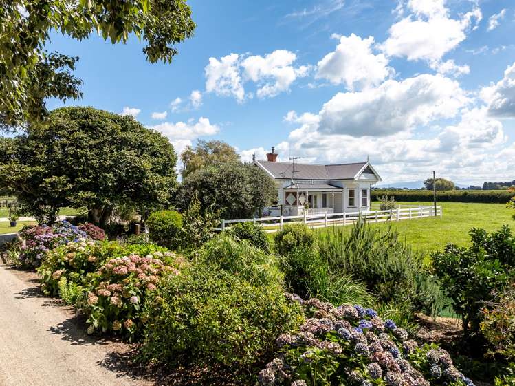 182 Maungatautari Road Cambridge_5