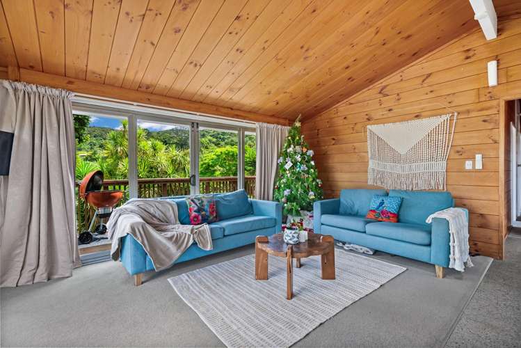 38 Scott Road Tamaterau_13