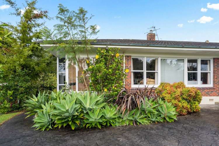 16 Radcliffe Street Kensington_19