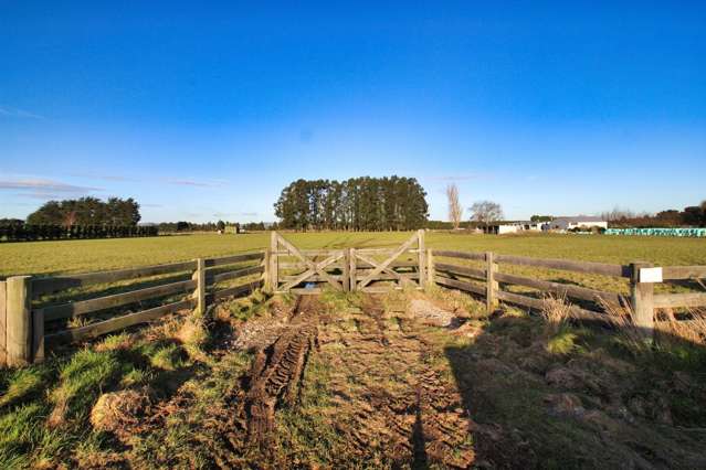 101 George Street Edendale_1