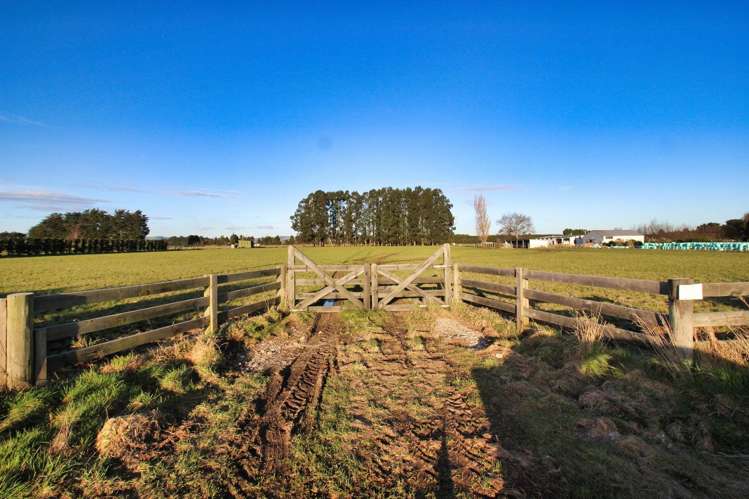 101 George Street Edendale_1