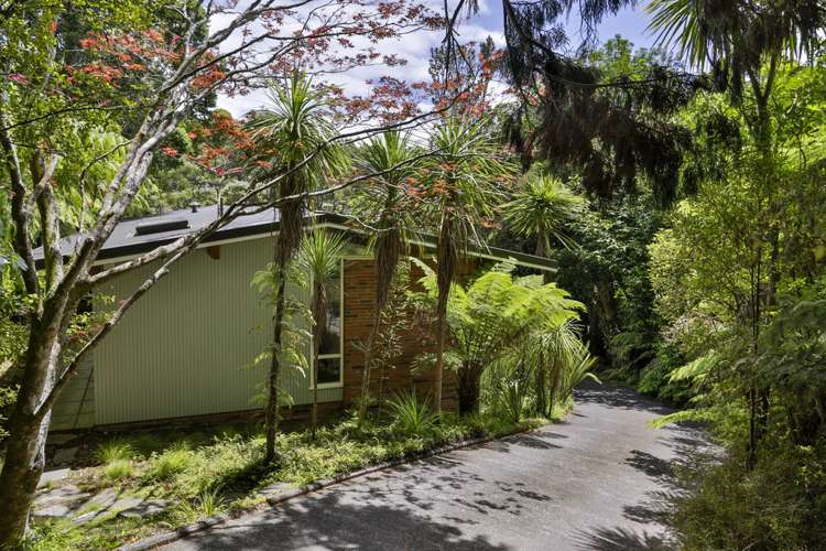 203 Atkinson Road Titirangi_16