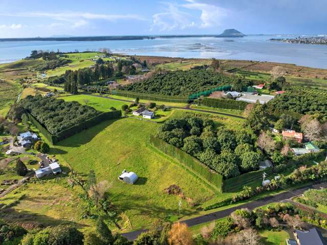 Premier Te Puna orchard with views and vision
