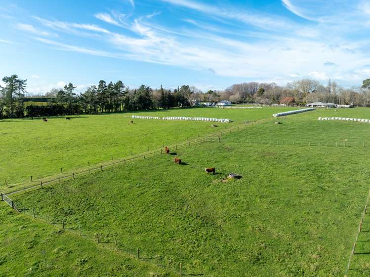 51A Horrell Road Morrinsville_6