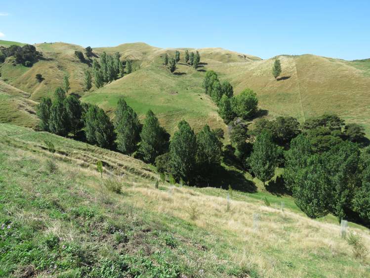 754 Puketitiri Road Puketapu_24