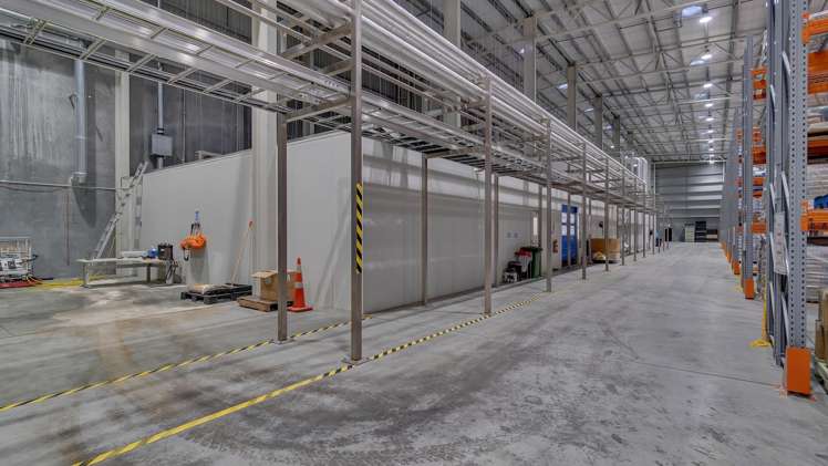 9 Ashford Avenue Ashburton_7