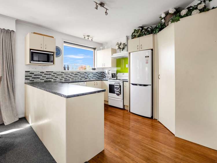 35 Johnstone Street Tinwald_6