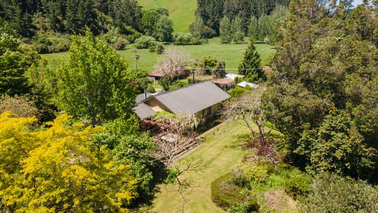 500 Dovedale Road Dovedale_7