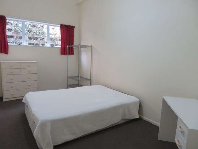 Room 3/61A Waitoa Road 1277_1