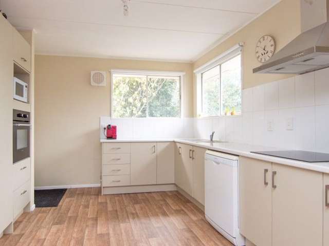 53 Cambridge Avenue Ashhurst_2