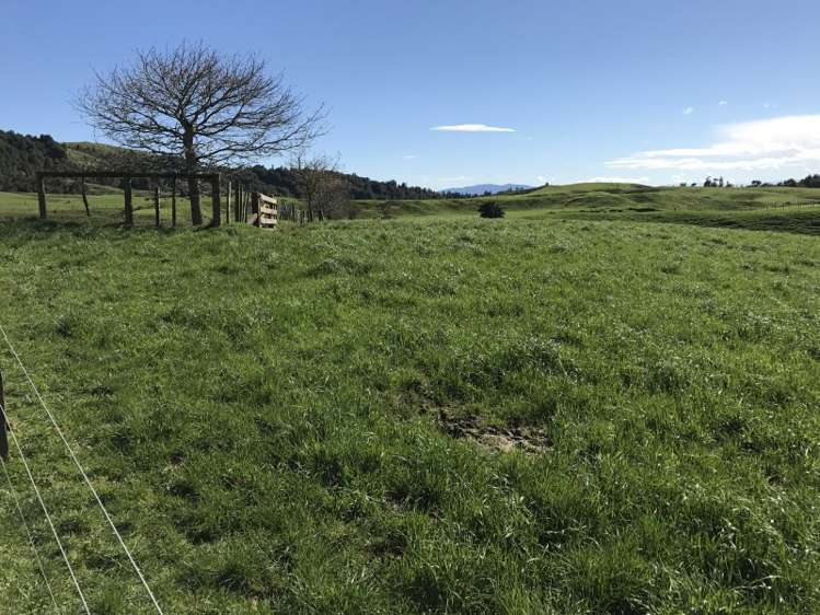 1232 Ngaroma Road Wharepuhunga_14