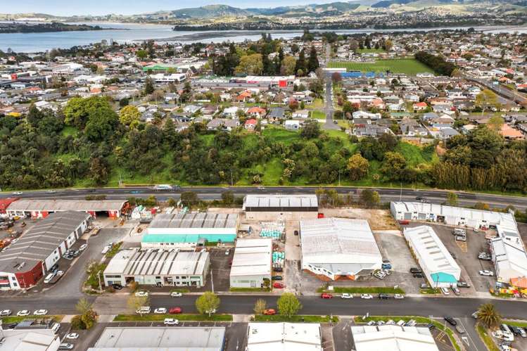 30-32 Koromiko Street & 8 Erica Street Judea_12