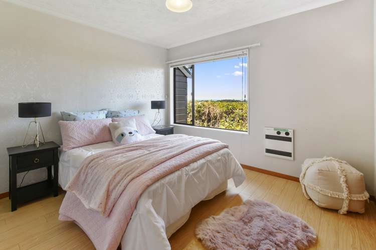 65 Eugenia Rise Totara Heights_9