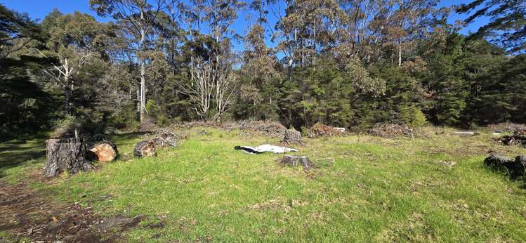 280 Hector Sanderson Road Great Barrier Island_6