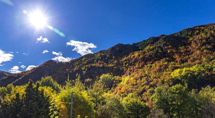 4 Nairn Street Arrowtown_21