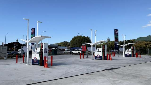 15 Birch Avenue Judea_4