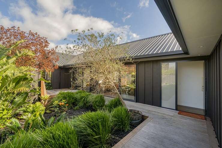 A four-bedroom, four-bathroom beachfront property at 135 Captain Cook Road, in Cooks Beach, has just been listed for sale this week and is among the unusually large number of bigger homes for sale in the beach town. Photo / Supplied