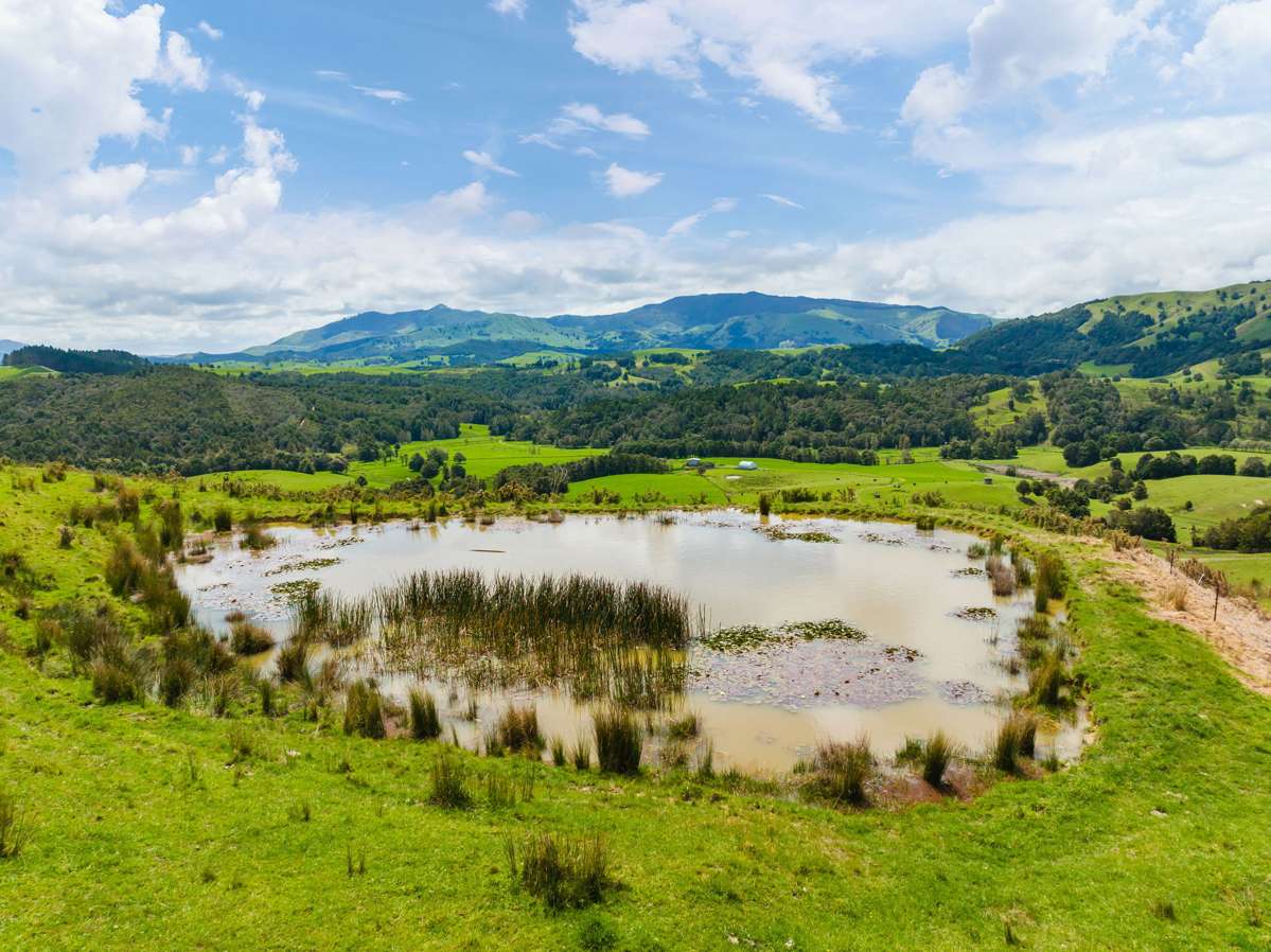 207 Aponga Stream Road_3