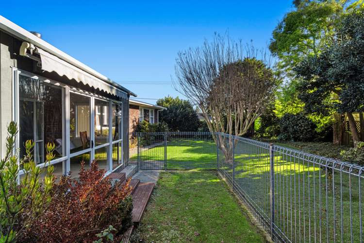 81 College Road Edgecumbe_17