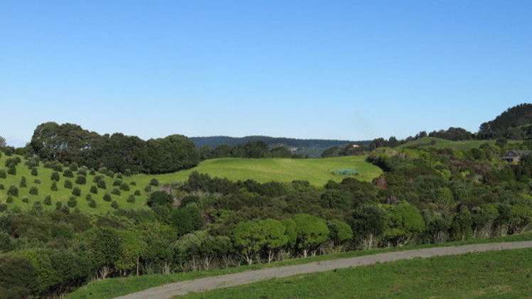 413 Onemana Drive Onemana_10