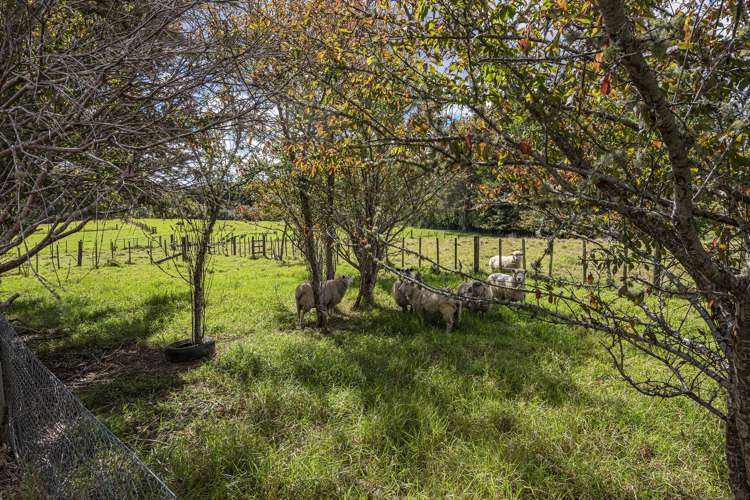 77 Pataua North Road Whareora_25