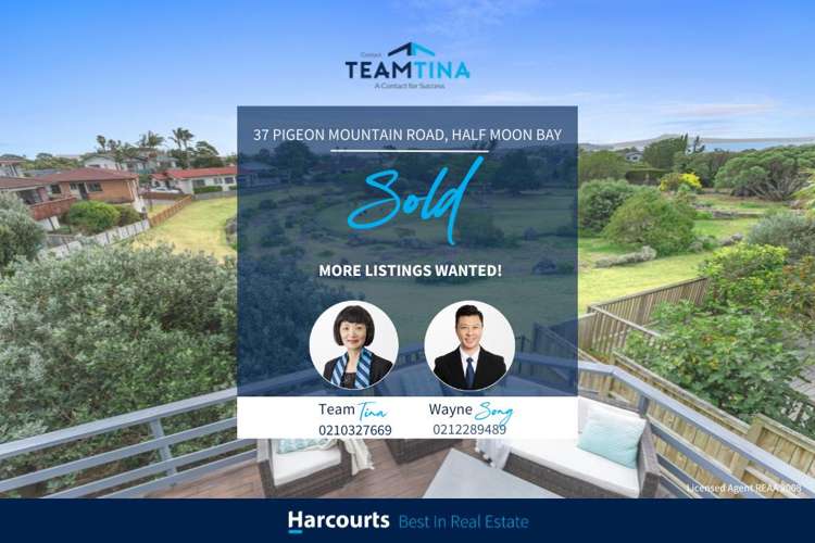 37 Pigeon Mountain Road_0