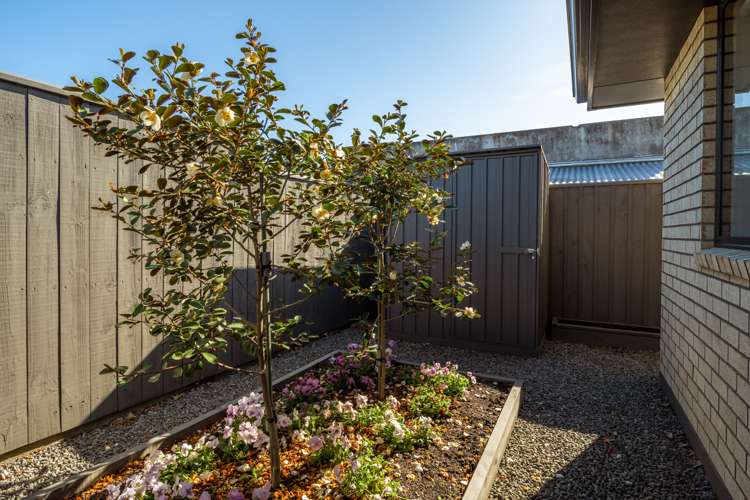 142a Howick Road Witherlea_16