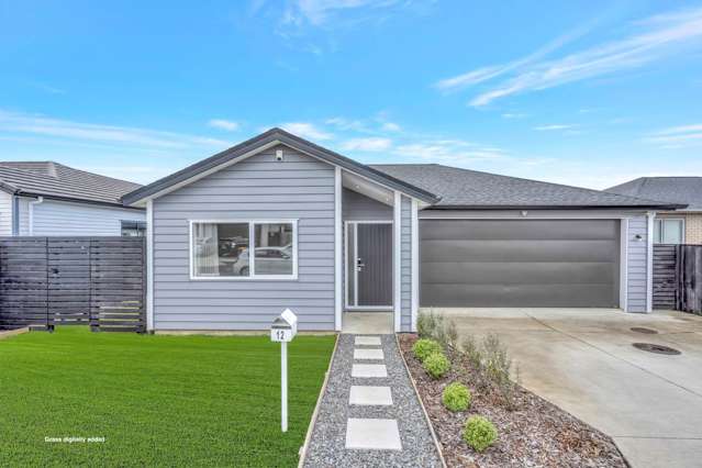 12 Parton Road Pukekohe_1