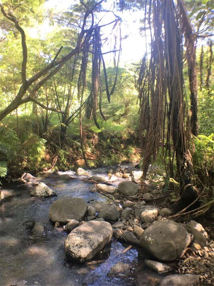 230 Reservoir Road Thames_16