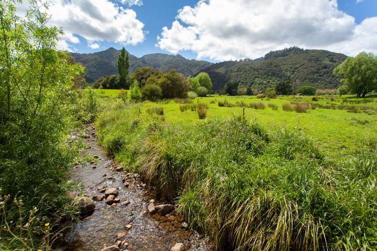 1743 Te Aroha-Gordon Road Gordon_16